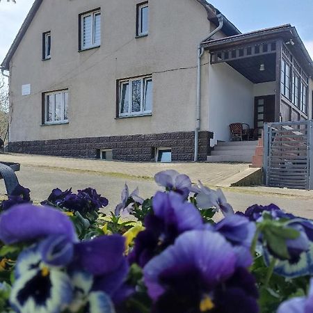 Agroturystyka Nad Bobrem Pilchowice Exterior foto