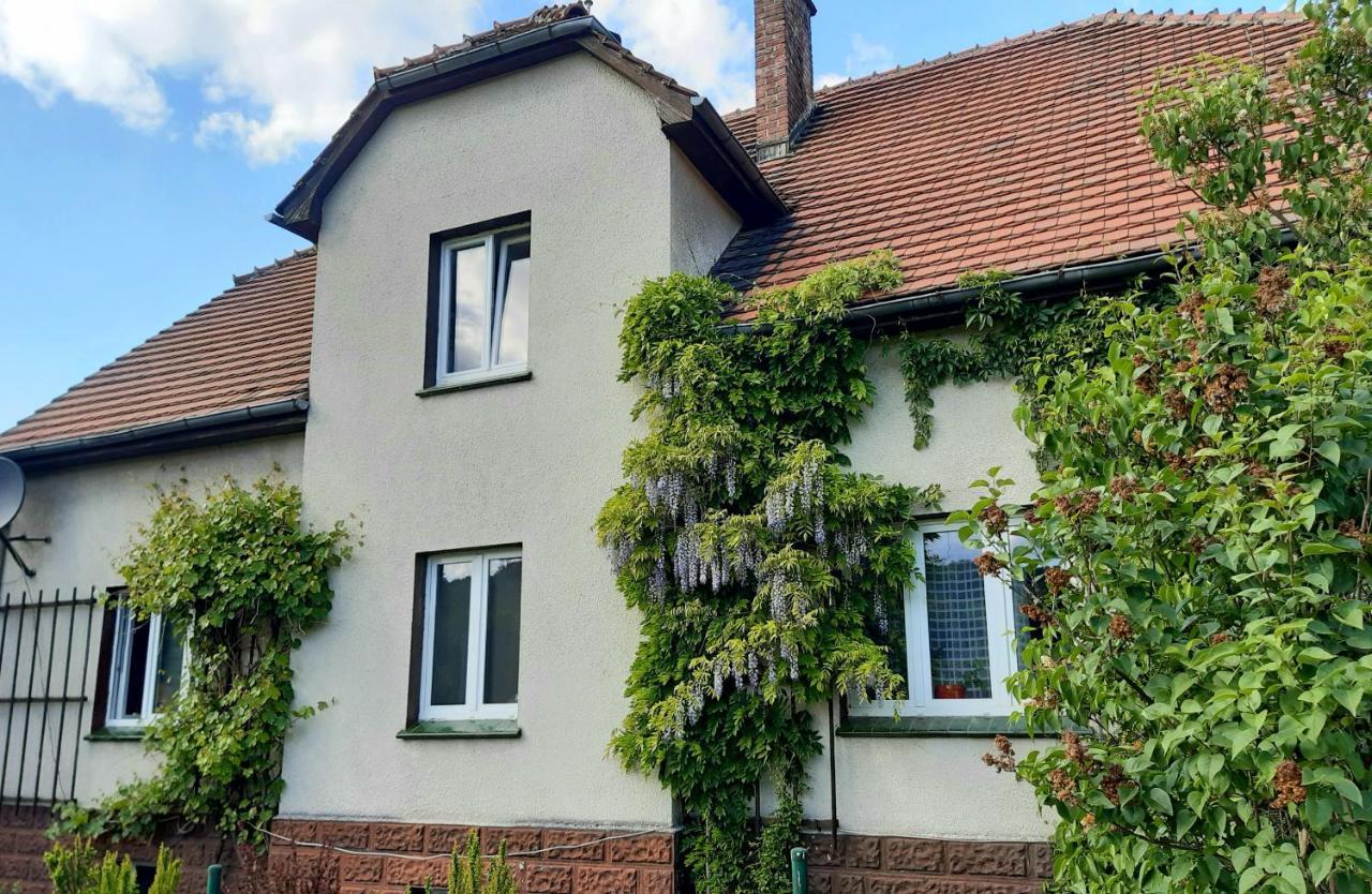 Agroturystyka Nad Bobrem Pilchowice Exterior foto