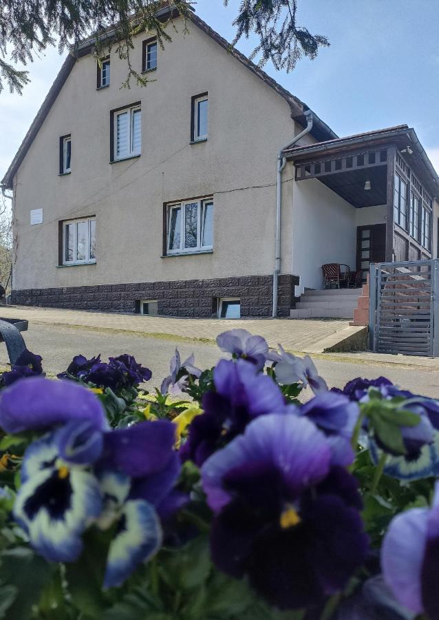 Agroturystyka Nad Bobrem Pilchowice Exterior foto
