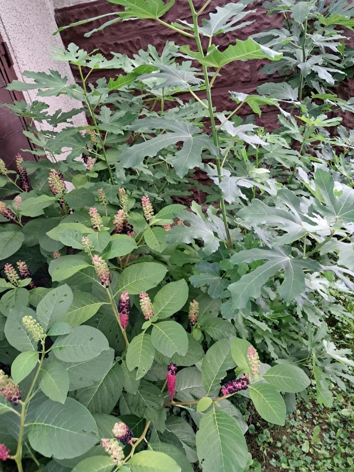 Agroturystyka Nad Bobrem Pilchowice Exterior foto